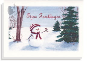 Kerstkaart sneeuwpopje met roodborstje